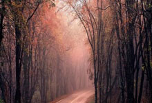 约普锅炉售后在线客服告诉你♫约普锅炉显示故障代码E33导致因素