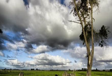 各美红酒柜维修售后网点交流各美红酒柜门无法轻微关闭有缝隙原因分析