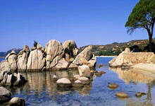 夏贝壁挂炉维修客服热线分享夏贝壁挂炉运行时发出尖锐的噪音怎么回事